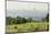 View over Vienna of the Cobenzl, Vineyard Cobenzl, Vienna, Austria-Rainer Mirau-Mounted Photographic Print