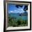 View over Village and Lake Annecy, Talloires, Lake Annecy, Rhone Alpes, France, Europe-Stuart Black-Framed Photographic Print