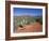 View Over West Sedona from the Slopes of Table Top Mountain, Arizona, USA-Ruth Tomlinson-Framed Photographic Print