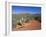 View Over West Sedona from the Slopes of Table Top Mountain, Arizona, USA-Ruth Tomlinson-Framed Photographic Print