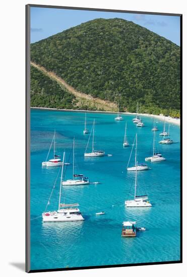 View over White Bay, Jost Van Dyke, British Virgin Islands, West Indies, Caribbean, Central America-Michael Runkel-Mounted Photographic Print