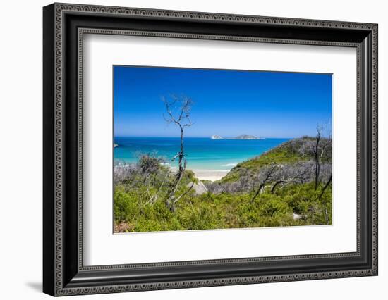 View over Wilsons Promontory National Park, Victoria, Australia, Pacific-Michael Runkel-Framed Photographic Print