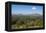 View over Zomba from the Zomba Plateau, Malawi, Africa-Michael Runkel-Framed Premier Image Canvas