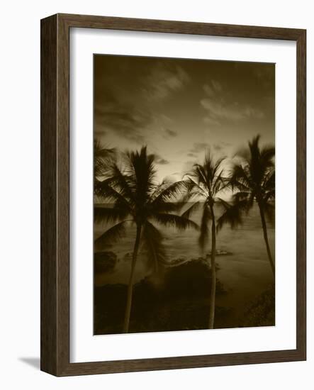 View Palm Trees on Beach, Big Islands, Kona, Hawaii, USA-Stuart Westmorland-Framed Photographic Print