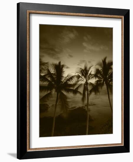 View Palm Trees on Beach, Big Islands, Kona, Hawaii, USA-Stuart Westmorland-Framed Photographic Print