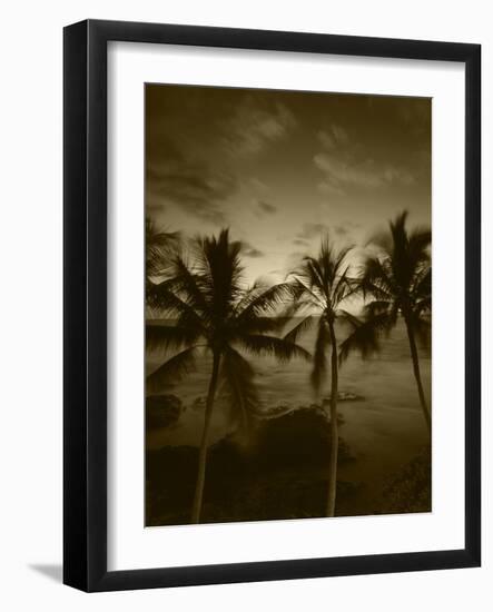 View Palm Trees on Beach, Big Islands, Kona, Hawaii, USA-Stuart Westmorland-Framed Photographic Print