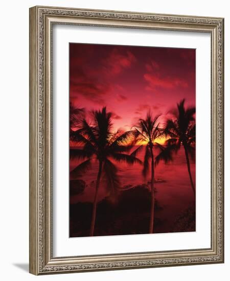 View Palm Trees on Beach, Big Islands, Kona, Hawaii, USA-Stuart Westmorland-Framed Photographic Print