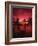 View Palm Trees on Beach, Big Islands, Kona, Hawaii, USA-Stuart Westmorland-Framed Photographic Print