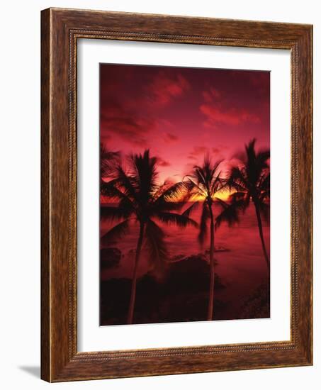 View Palm Trees on Beach, Big Islands, Kona, Hawaii, USA-Stuart Westmorland-Framed Photographic Print