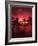 View Palm Trees on Beach, Big Islands, Kona, Hawaii, USA-Stuart Westmorland-Framed Photographic Print