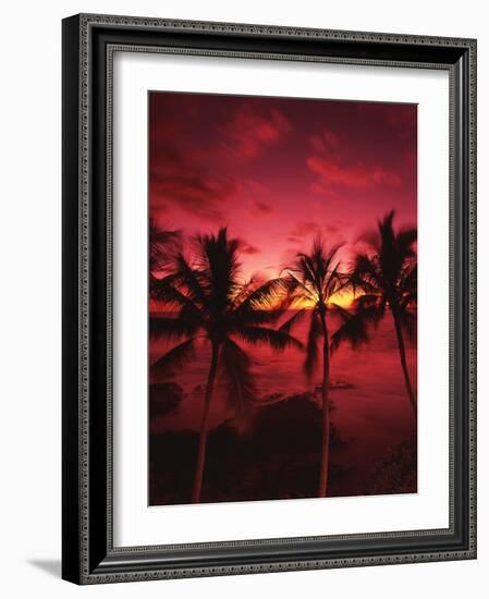 View Palm Trees on Beach, Big Islands, Kona, Hawaii, USA-Stuart Westmorland-Framed Photographic Print