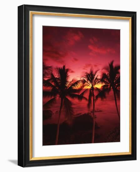 View Palm Trees on Beach, Big Islands, Kona, Hawaii, USA-Stuart Westmorland-Framed Photographic Print