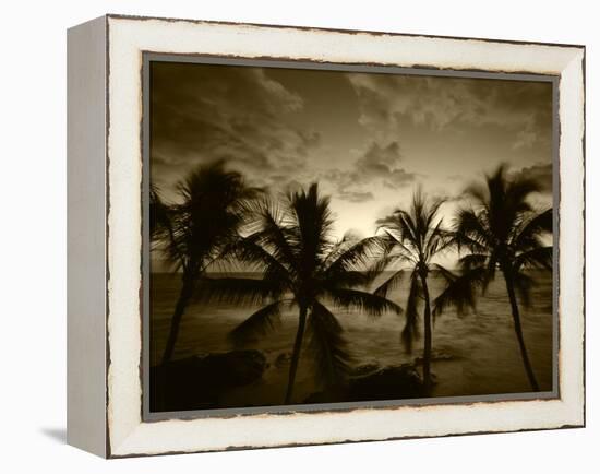 View Palm Trees on Beach, Big Islands, Kona, Hawaii, USA-Stuart Westmorland-Framed Premier Image Canvas