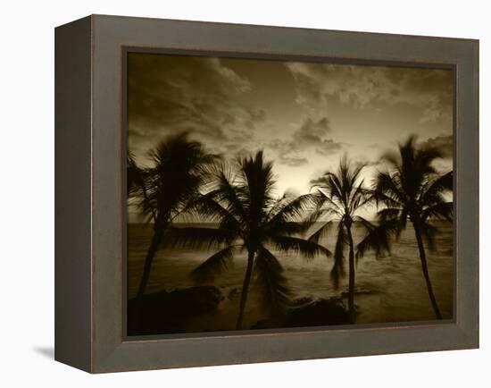 View Palm Trees on Beach, Big Islands, Kona, Hawaii, USA-Stuart Westmorland-Framed Premier Image Canvas