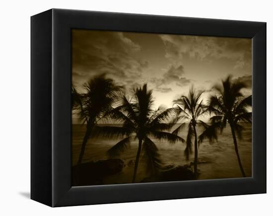 View Palm Trees on Beach, Big Islands, Kona, Hawaii, USA-Stuart Westmorland-Framed Premier Image Canvas