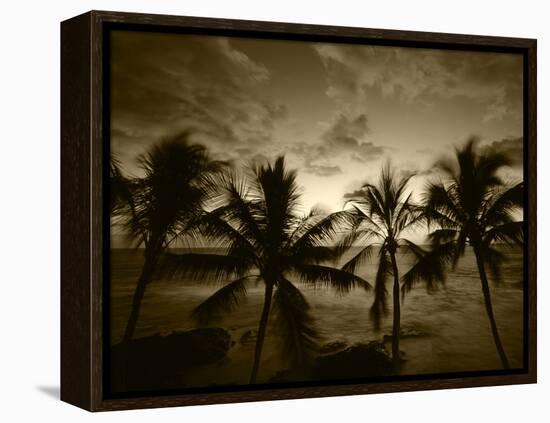 View Palm Trees on Beach, Big Islands, Kona, Hawaii, USA-Stuart Westmorland-Framed Premier Image Canvas