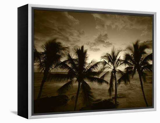 View Palm Trees on Beach, Big Islands, Kona, Hawaii, USA-Stuart Westmorland-Framed Premier Image Canvas