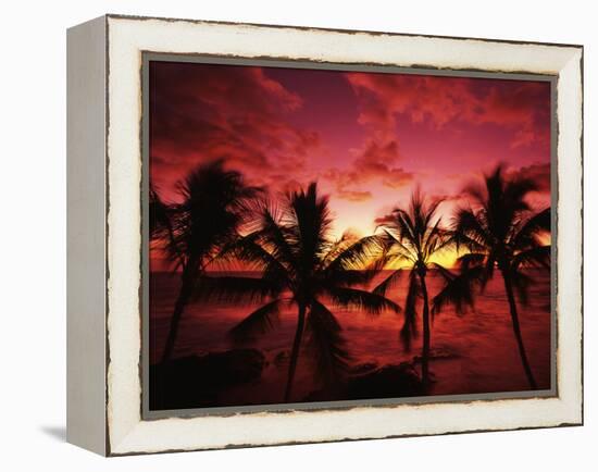 View Palm Trees on Beach, Big Islands, Kona, Hawaii, USA-Stuart Westmorland-Framed Premier Image Canvas