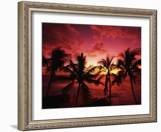 View Palm Trees on Beach, Big Islands, Kona, Hawaii, USA-Stuart Westmorland-Framed Photographic Print