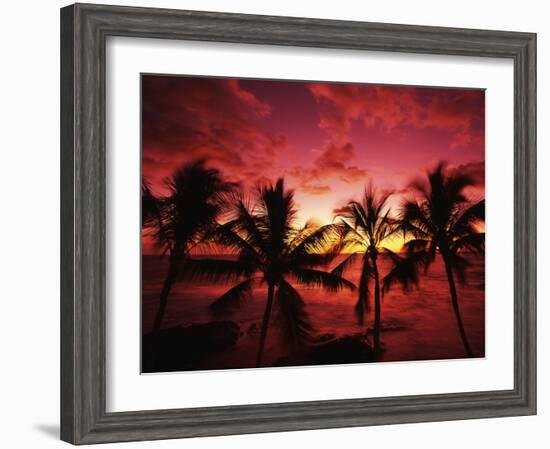 View Palm Trees on Beach, Big Islands, Kona, Hawaii, USA-Stuart Westmorland-Framed Photographic Print