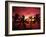 View Palm Trees on Beach, Big Islands, Kona, Hawaii, USA-Stuart Westmorland-Framed Photographic Print