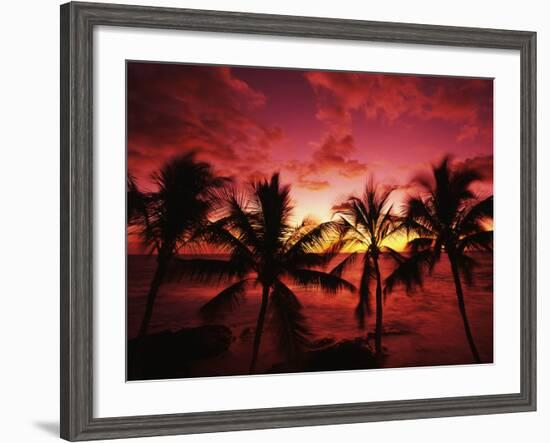 View Palm Trees on Beach, Big Islands, Kona, Hawaii, USA-Stuart Westmorland-Framed Photographic Print