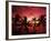 View Palm Trees on Beach, Big Islands, Kona, Hawaii, USA-Stuart Westmorland-Framed Photographic Print