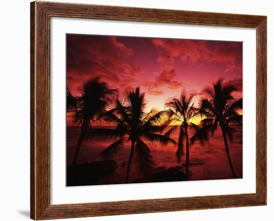 View Palm Trees on Beach, Big Islands, Kona, Hawaii, USA-Stuart Westmorland-Framed Photographic Print