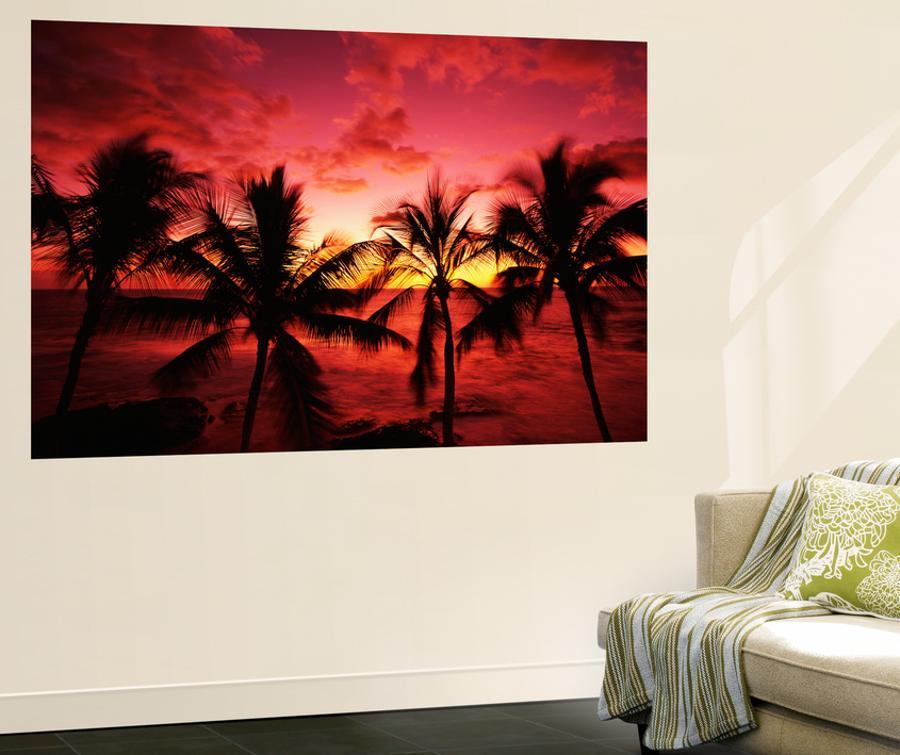 View Palm Trees On Beach Big Islands Kona Hawaii Usa Wall Mural Stuart Westmorland Art Com