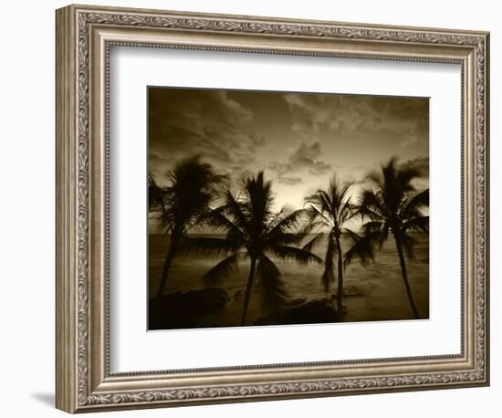 View Palm Trees on Beach, Big Islands, Kona, Hawaii, USA-Stuart Westmorland-Framed Photographic Print