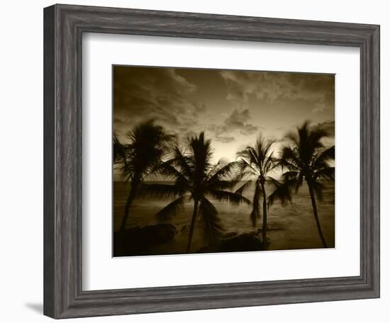 View Palm Trees on Beach, Big Islands, Kona, Hawaii, USA-Stuart Westmorland-Framed Photographic Print