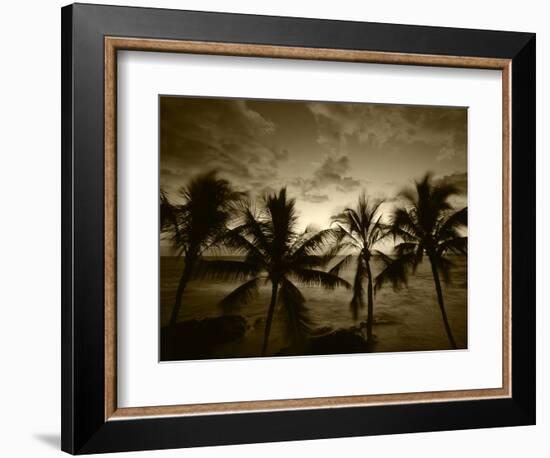 View Palm Trees on Beach, Big Islands, Kona, Hawaii, USA-Stuart Westmorland-Framed Photographic Print