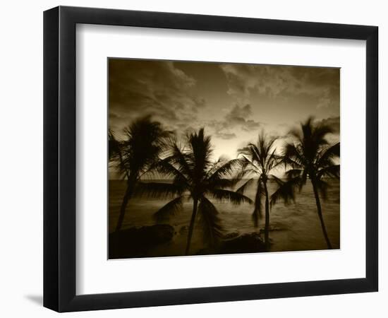 View Palm Trees on Beach, Big Islands, Kona, Hawaii, USA-Stuart Westmorland-Framed Photographic Print