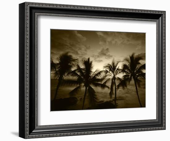 View Palm Trees on Beach, Big Islands, Kona, Hawaii, USA-Stuart Westmorland-Framed Photographic Print