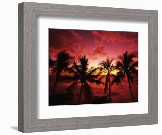 View Palm Trees on Beach, Big Islands, Kona, Hawaii, USA-Stuart Westmorland-Framed Photographic Print