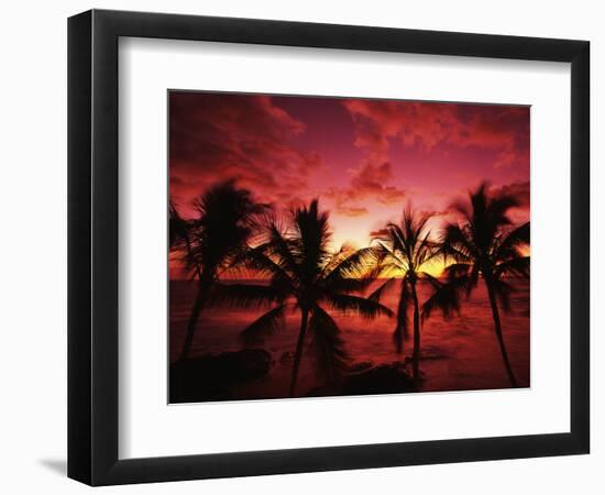 View Palm Trees on Beach, Big Islands, Kona, Hawaii, USA-Stuart Westmorland-Framed Photographic Print