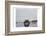 View Point-Sheldon Lewis-Framed Photographic Print