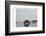 View Point-Sheldon Lewis-Framed Photographic Print