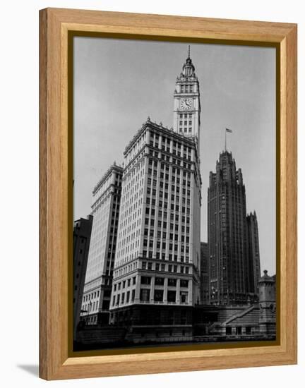 View Showing the Chicago Tribune Building-Carl Mydans-Framed Premier Image Canvas