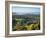 View South from Colley Hill on a Misty Autumn Morning, Reigate, Surrey Hills, Surrey, England, Unit-John Miller-Framed Photographic Print