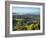 View South from Colley Hill on a Misty Autumn Morning, Reigate, Surrey Hills, Surrey, England, Unit-John Miller-Framed Photographic Print
