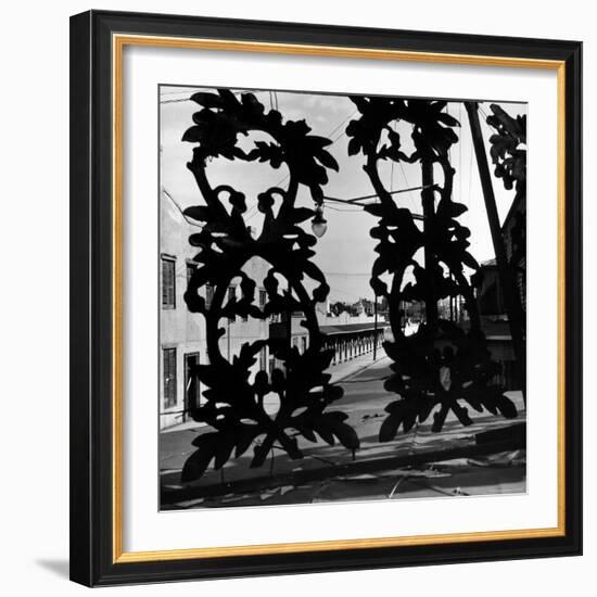View Through Acorn Iron Grillwork of Rows of Cheap Sporting Houses-David Scherman-Framed Photographic Print