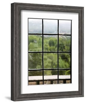 View Through Old Window Panes-Felipe Rodriguez-Framed Photographic Print