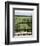 View Through Old Window Panes-Felipe Rodriguez-Framed Photographic Print