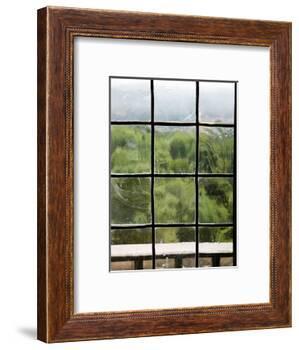 View Through Old Window Panes-Felipe Rodriguez-Framed Photographic Print