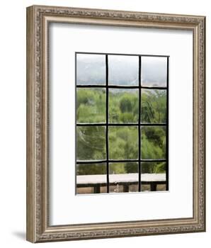 View Through Old Window Panes-Felipe Rodriguez-Framed Photographic Print