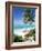 View Through Palm Trees Towards Beach and Indian Ocean, Jambiani, Island of Zanzibar, Tanzania-Lee Frost-Framed Photographic Print