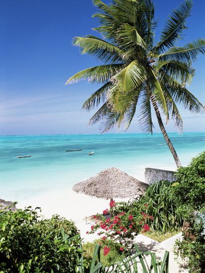 Paradise Beach.White Sand,turquoise Water,palm Trees At 