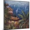 View Through Palms-Malcolm Surridge-Mounted Giclee Print