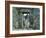 View Through Stone Doorway of the Inca Ruins of Machu Picchu in the Andes Mountains, Peru-Jim Zuckerman-Framed Photographic Print